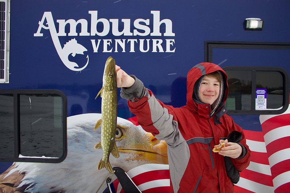 Displaying northern and Ambush Venture